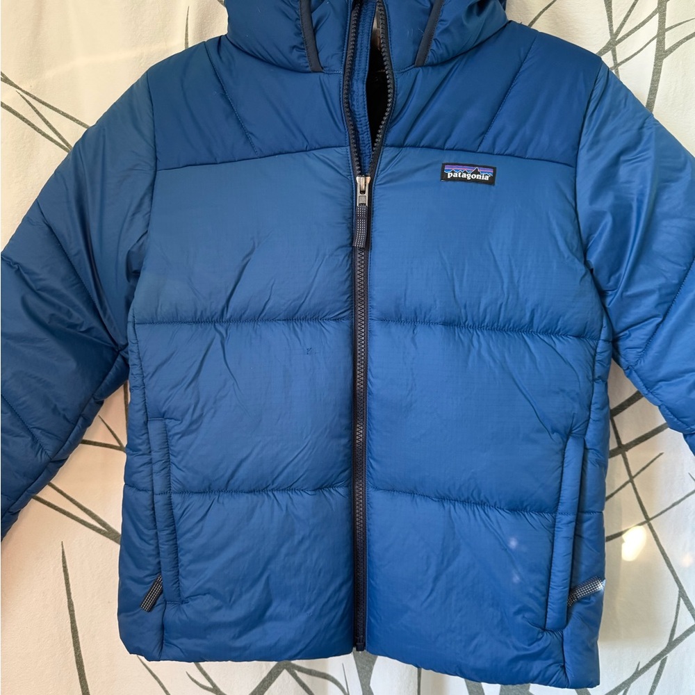 Patagonia Kids Vibrant Blue Puffer Coat